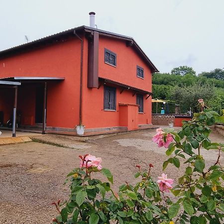 Country House Dolce Nocciola Vignanello Εξωτερικό φωτογραφία