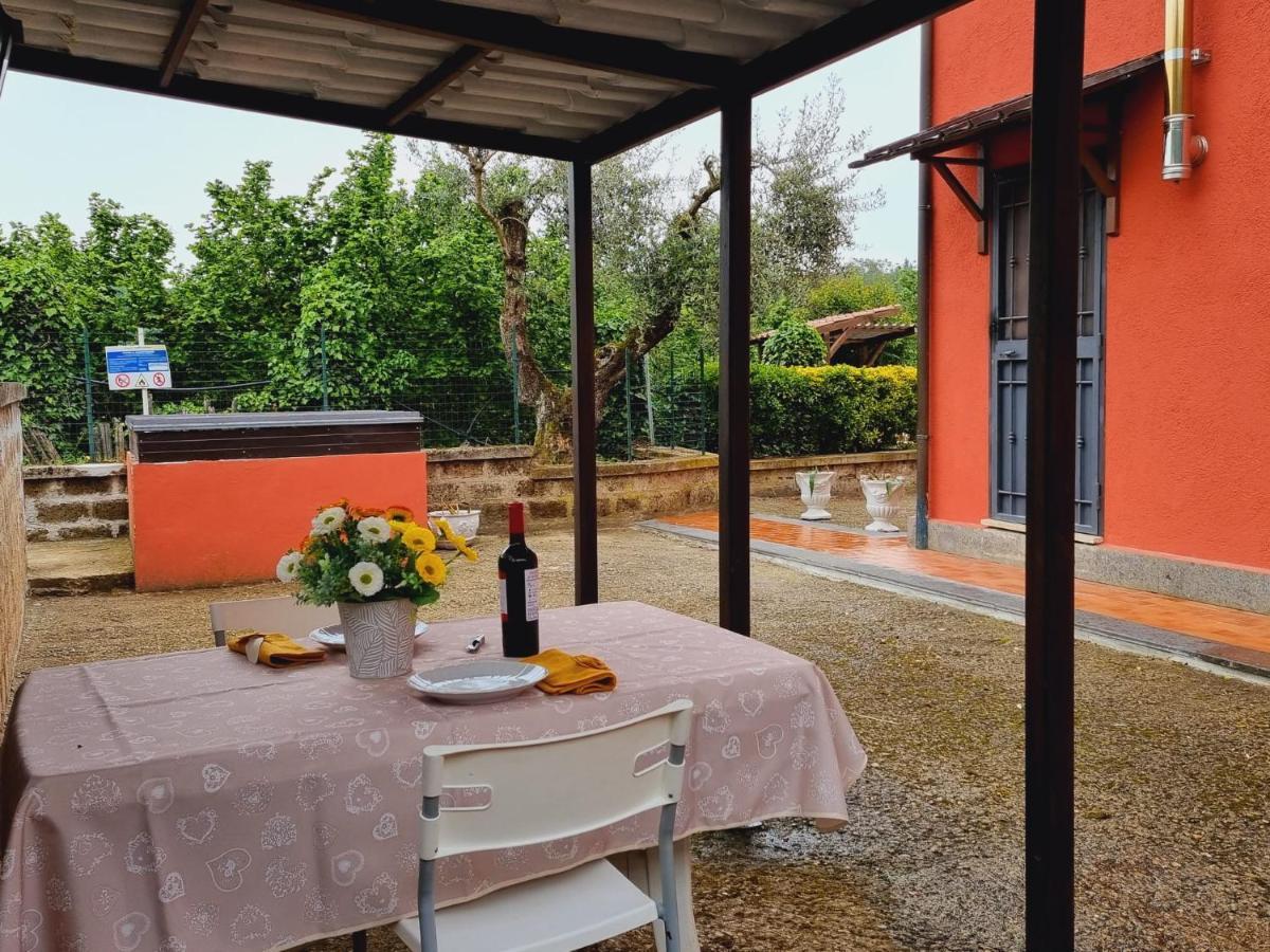 Country House Dolce Nocciola Vignanello Εξωτερικό φωτογραφία