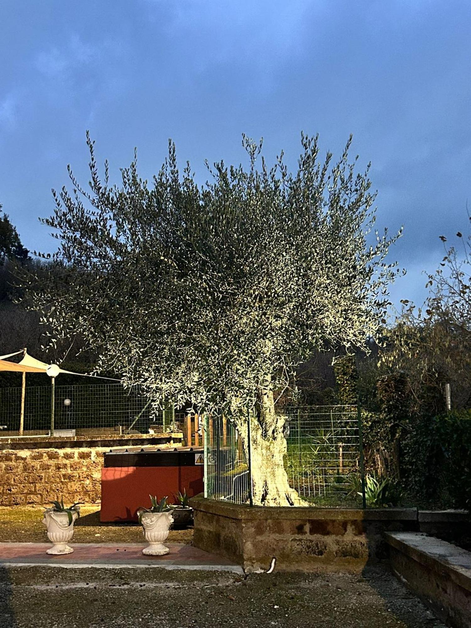 Country House Dolce Nocciola Vignanello Εξωτερικό φωτογραφία